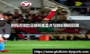 调对抗