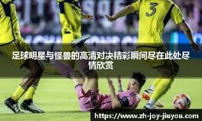 方案既是保