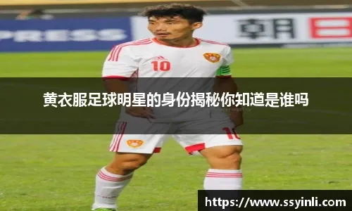 言这是一
