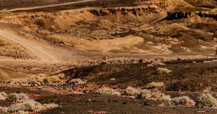 国资职工风采 ｜ 市国资系统乒羽比赛巡展（四）